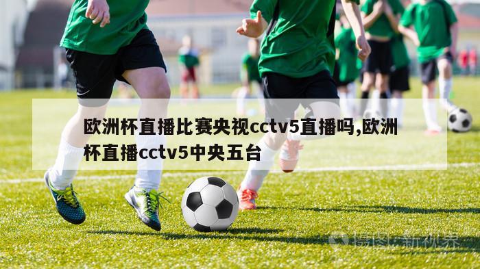 欧洲杯直播比赛央视cctv5直播吗,欧洲杯直播cctv5中央五台