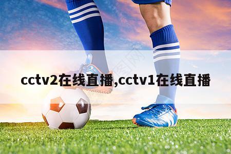 cctv2在线直播,cctv1在线直播