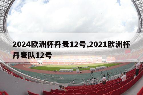 2024欧洲杯丹麦12号,2021欧洲杯丹麦队12号