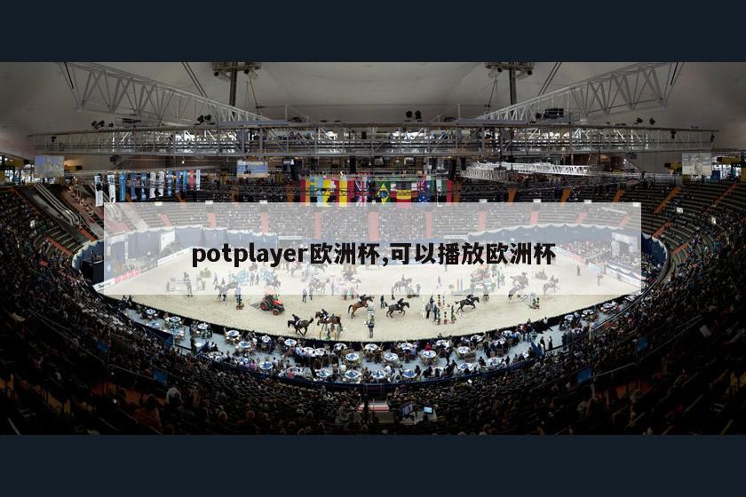 potplayer欧洲杯,可以播放欧洲杯