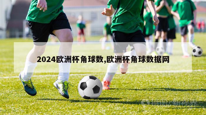 2024欧洲杯角球数,欧洲杯角球数据网