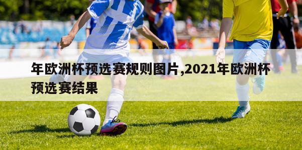 年欧洲杯预选赛规则图片,2021年欧洲杯预选赛结果