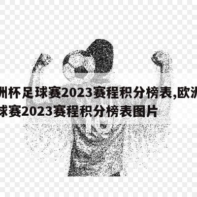 欧洲杯足球赛2023赛程积分榜表,欧洲杯足球赛2023赛程积分榜表图片