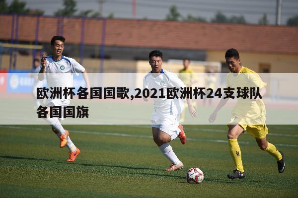 欧洲杯各国国歌,2021欧洲杯24支球队各国国旗